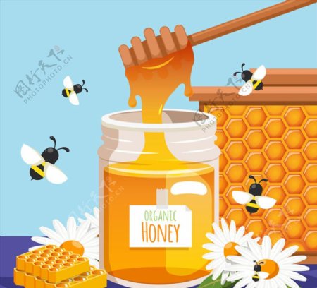美味瓶装蜂蜜和蜜蜂矢量素材