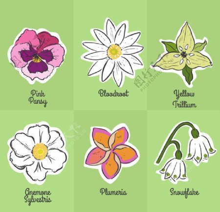 手绘花卉标签