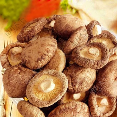 干蘑菇
