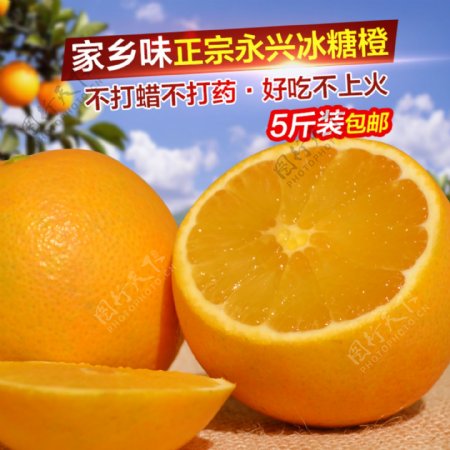 永兴冰糖橙主图
