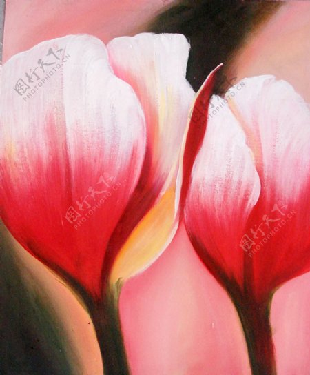 红色郁金香花朵装饰画油画