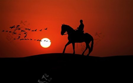 黄昏日落骑马剪影