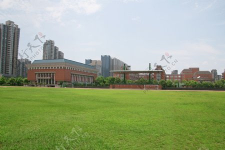 学校草坪