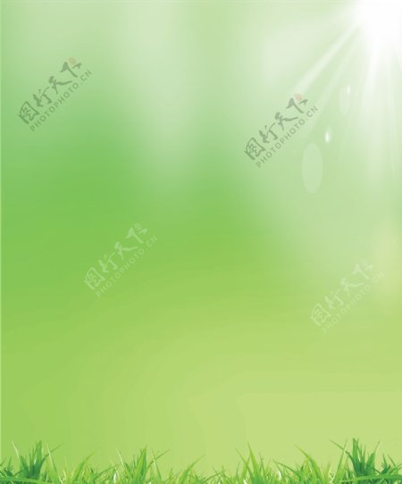 绿色制度框展板底纹背景