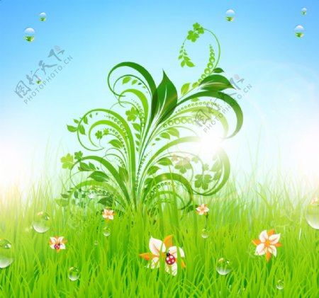 花纹草地气泡绿色春天
