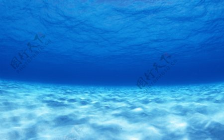 海底摄影