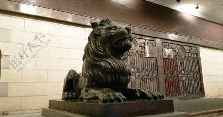 建筑门前的铜狮子