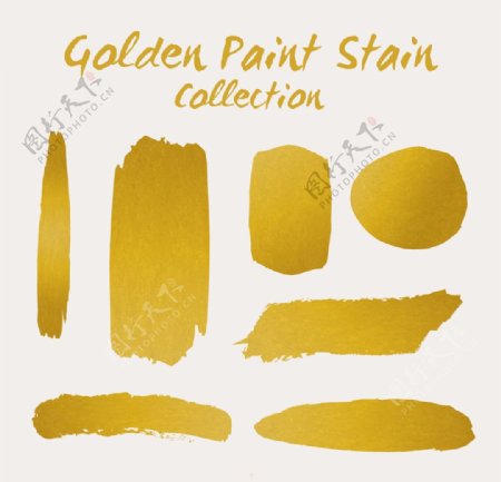 金色的油漆渍品种