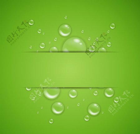 透明气泡绿色背景矢量素材
