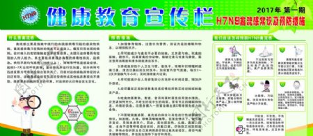 健康教育宣传栏H7N9禽流感
