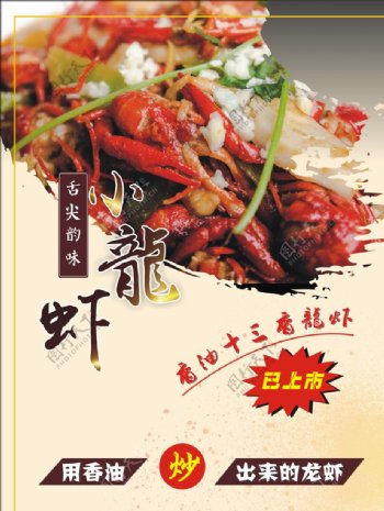 桐乡煲美味龙虾海报写真