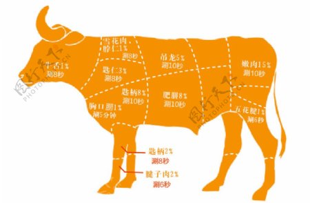 牛肉分布图模块身体结构