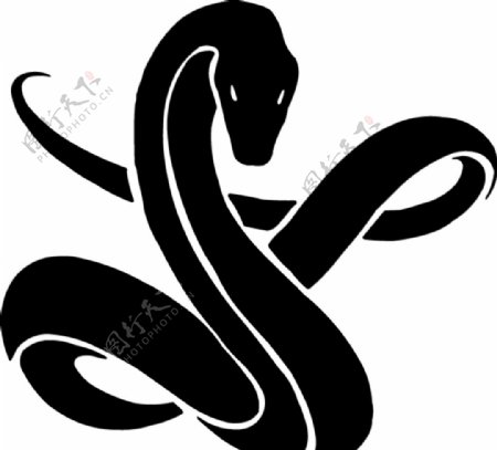 蛇花纹