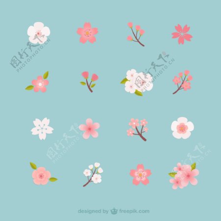 16种樱花图案