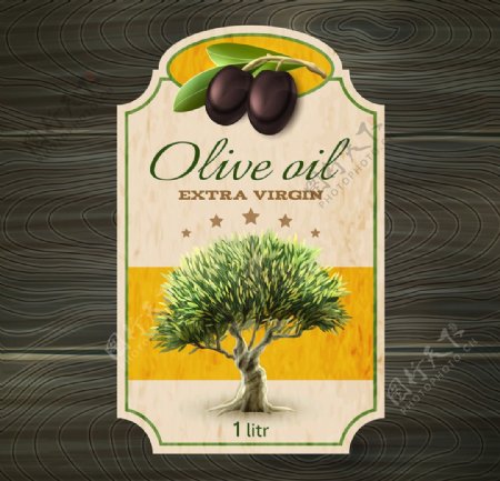 橄榄油设计