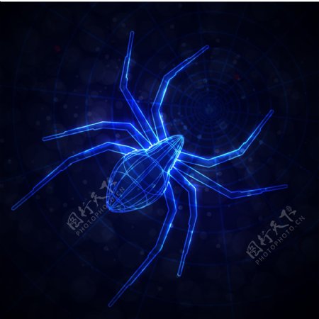 夜空中幽暗蓝色蜘蛛矢量素材