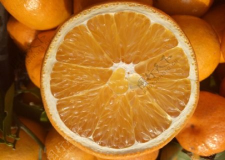 香橙水果