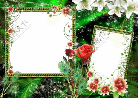 精美绿色百合花照片边框模板