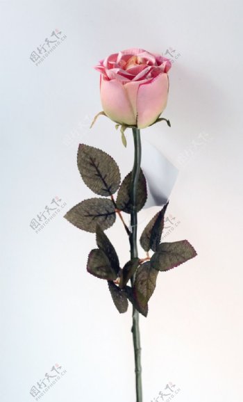 粉红玫瑰塑胶花枝