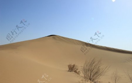 库布齐沙漠