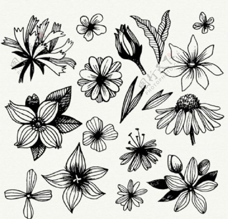 手绘黑白春季花卉线稿
