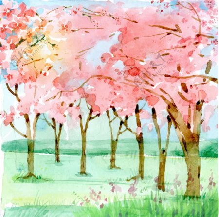 手绘水彩春季樱花林