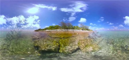 苍鹭岛海底生活VR视频