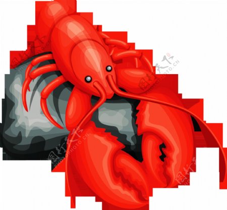 红色龙虾免抠png透明图层素材