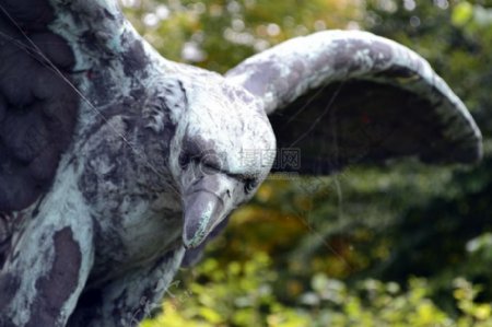 雄鹰展翅的雕像