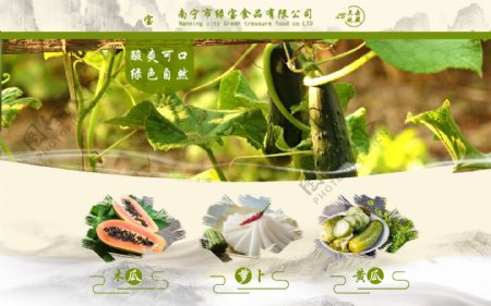 绿宝食品网页素材