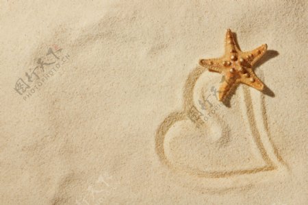 沙滩上心形海星图片