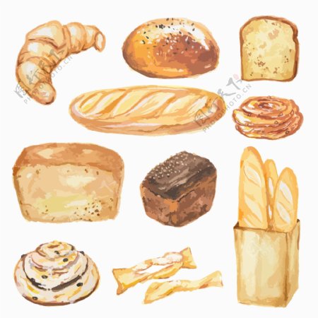 水彩绘面包插画