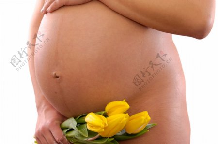 孕妇摄影素材图片