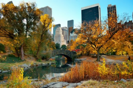 秋天曼哈顿中央公园图片
