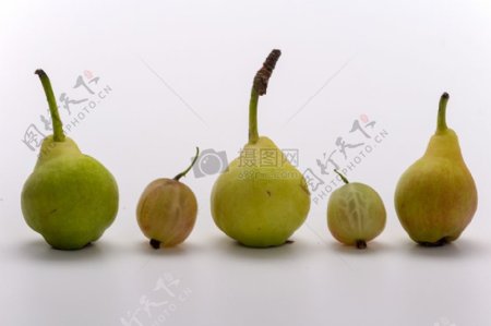 排成一排的梨子