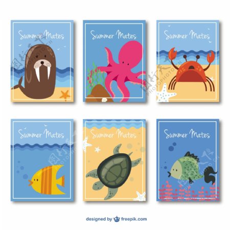 创意海洋动物卡片