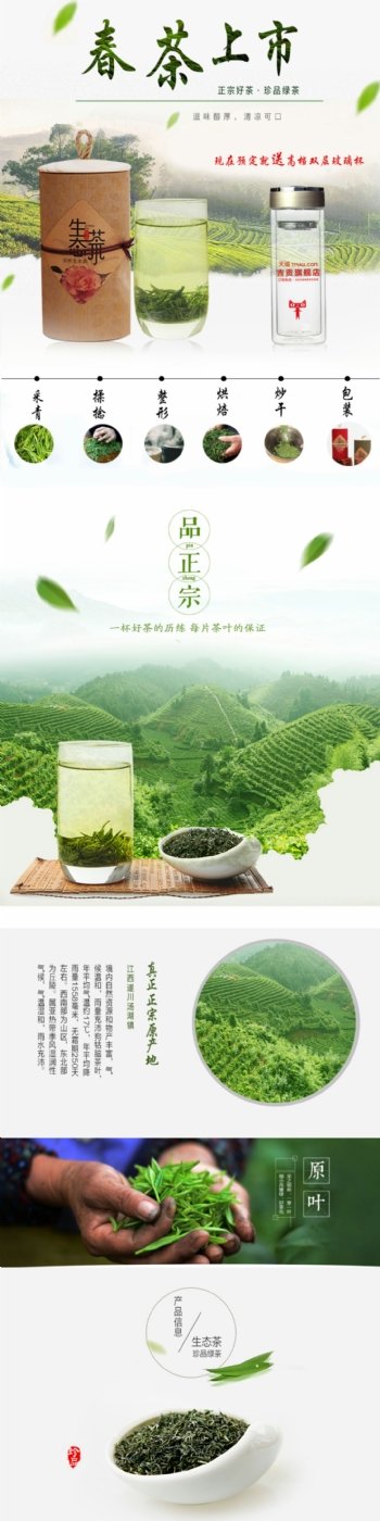 cvinner绿茶贡品茶详情页设计