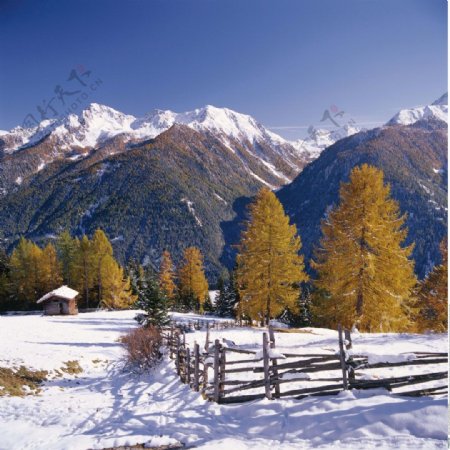 雪地里的小屋自然风景图片