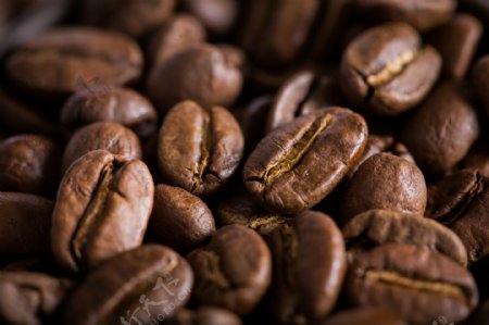 咖啡豆细节实拍图图片
