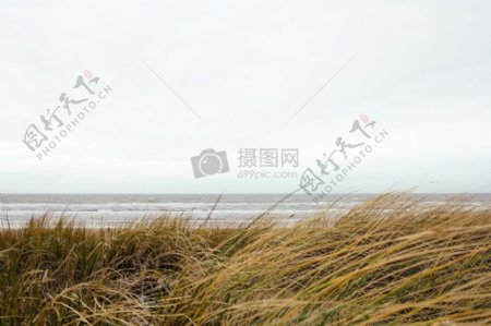 海自然天空海滩现场海洋海浪草海岸沙丘地平线