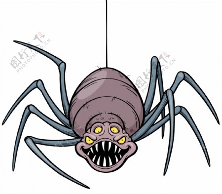 卡通恐怖蜘蛛插画