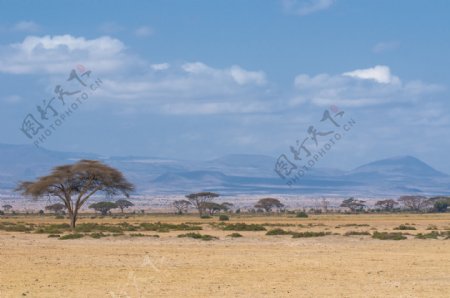 天人合一的非洲风景图片