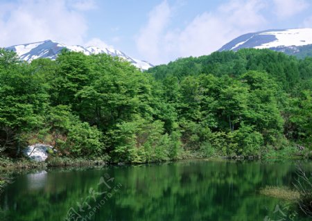 雪山树木湖泊美景图片