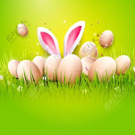 草地上的彩蛋复活节海报矢量