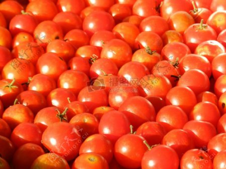 一堆红色西红柿