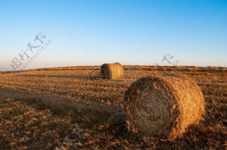 天空场农业收获养殖干草包稻草
