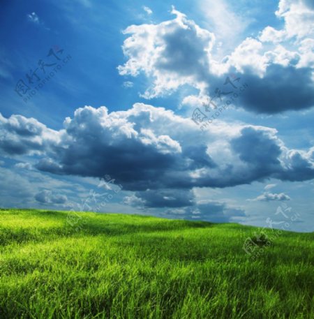蓝天白云下的草地高清风景图片图片