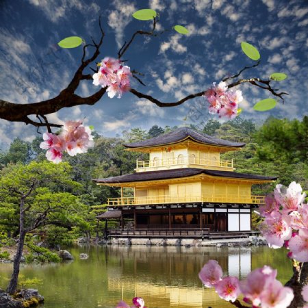 樱花和水边的日式建筑图片
