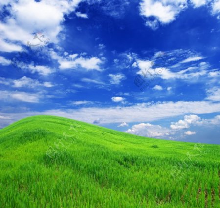 蓝天白云下的绿色丘陵图片