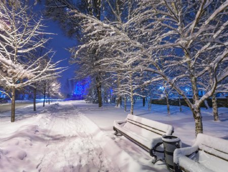公园夜晚雪景图片